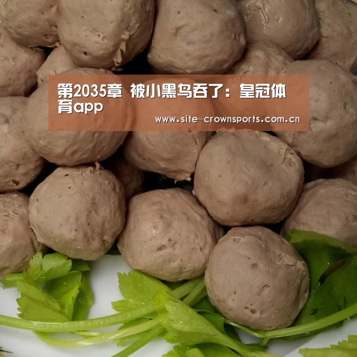 皇冠体育网页版