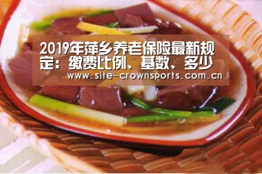2019年萍乡养老保险最新规定:缴费比例、基数、多少钱-皇冠体育登录(图4) 皇冠体育网页版