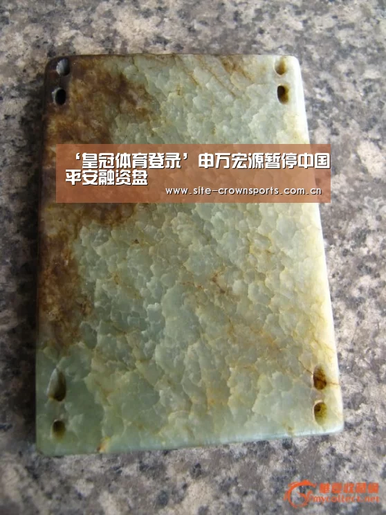 ‘皇冠体育登录’申万宏源暂停中国平安融资盘(图1) 皇冠体育app