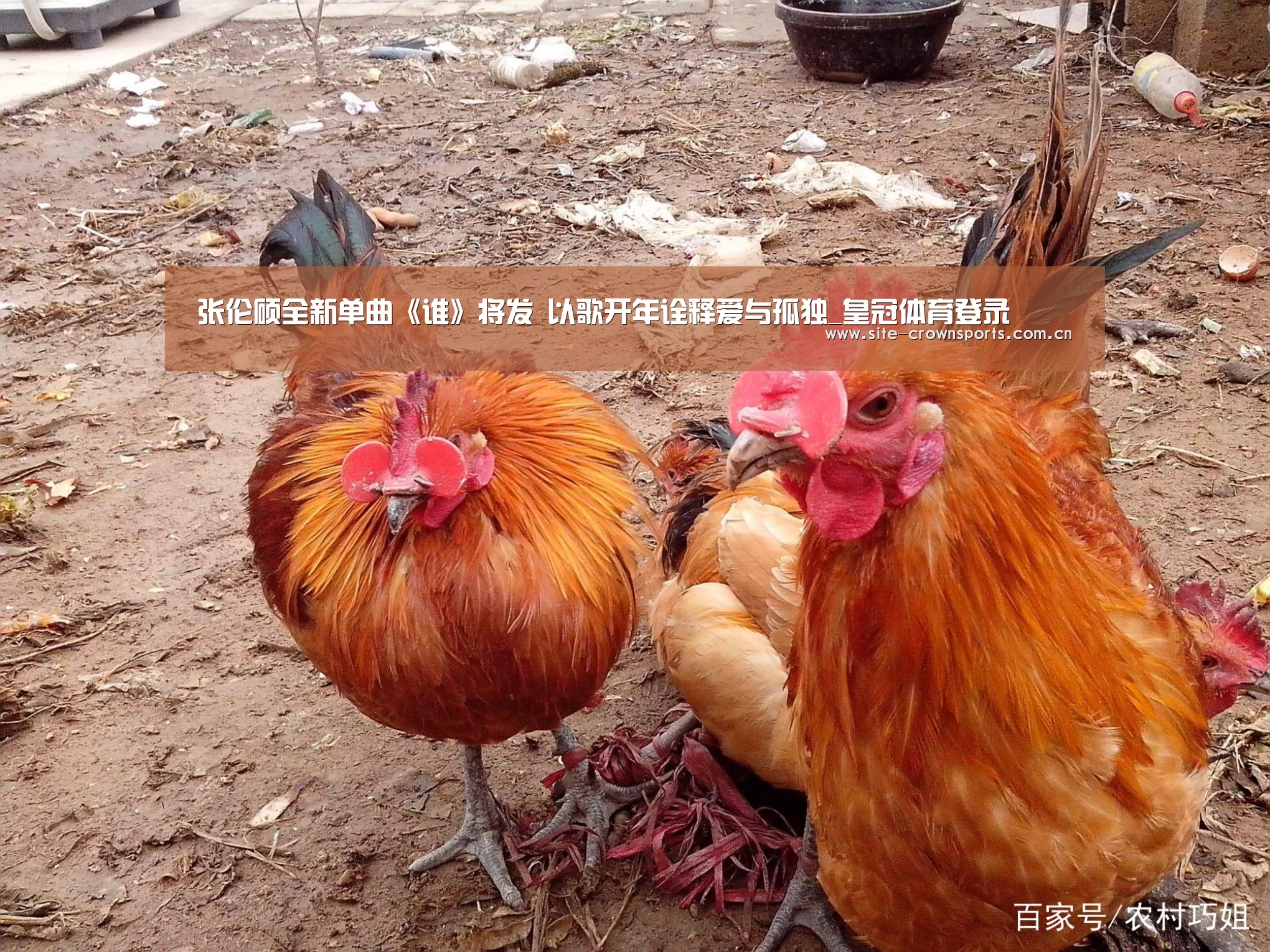 张伦硕全新单曲《谁》将发 以歌开年诠释爱与孤独_皇冠体育登录(图3) 皇冠体育app